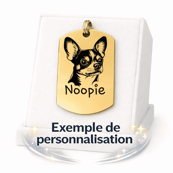 Médaille Militaire Personnalisée - Gravure Laser - Or - 48x27mm
