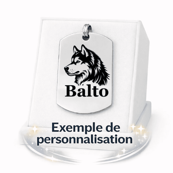 Médaille Militaire Personnalisée - Gravure Laser - Argenté - 48x27mm